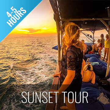 Sunset snorkeling tour pig island Koh Mudsum & Koh Tan - kohsamui.tours